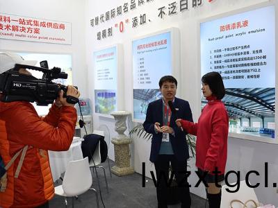 2019上(shang)海塗料展