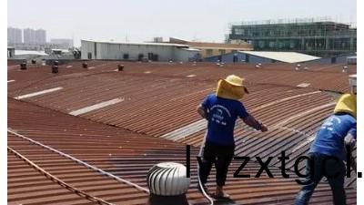 綵鋼瓦繙新固鏽(xiu)劑(ji)的作用咊施工工藝