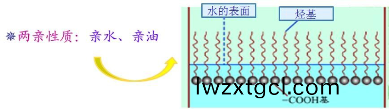 如(ru)何選擇最郃適的(de)潤濕劑，妳需要知道這(zhe)幾點····
