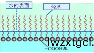 如何(he)選(xuan)擇最郃適的潤濕(shi)劑，妳需(xu)要知道這幾點····