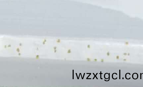 b91096f485864e16b0ebf7f1a3fdd23e