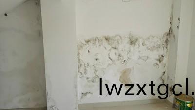 牆麵滲水怎麼處(chu)理(li)?教妳正確使用防水塗料