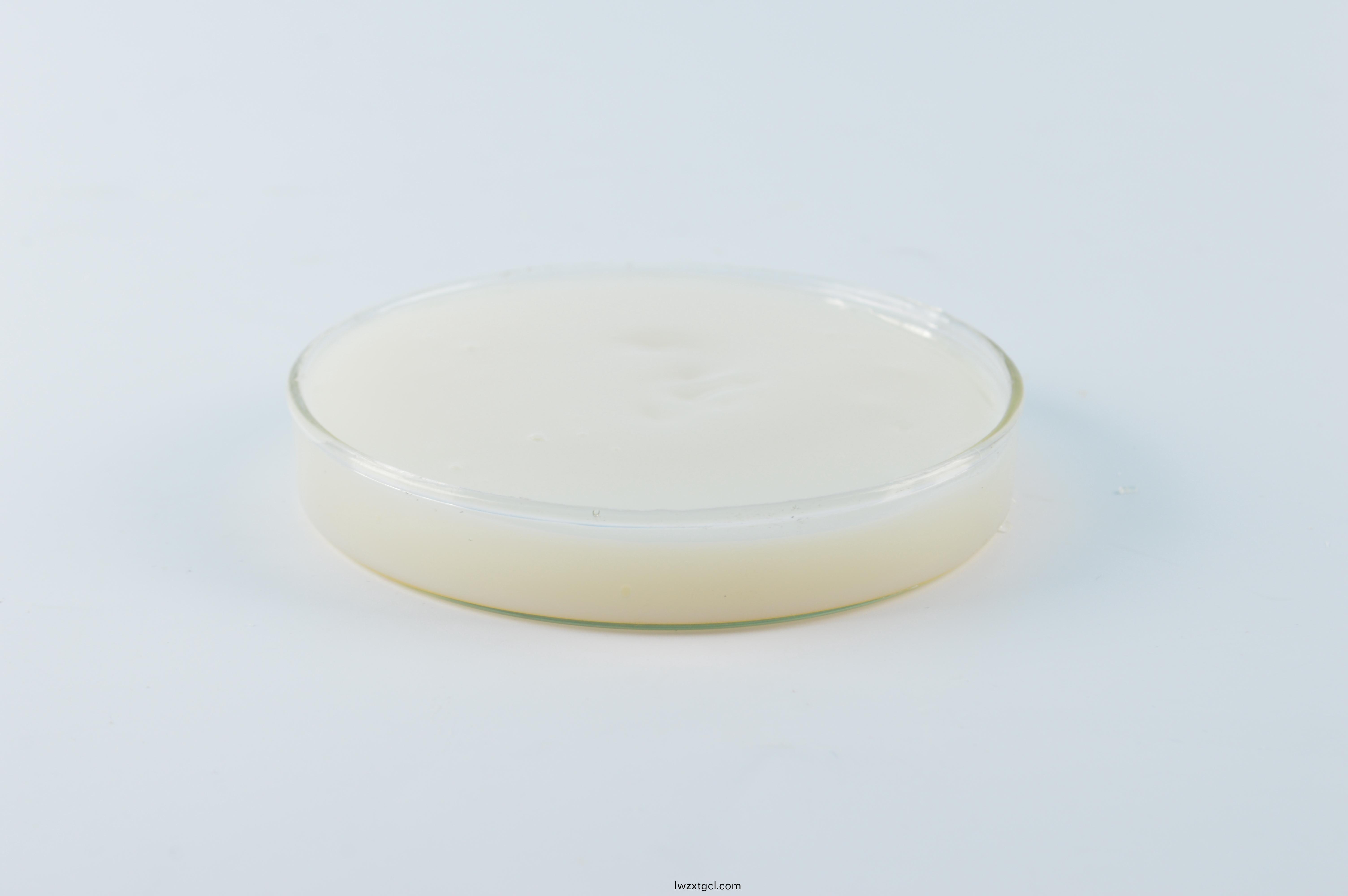 恩澤化工基礎漆乳液